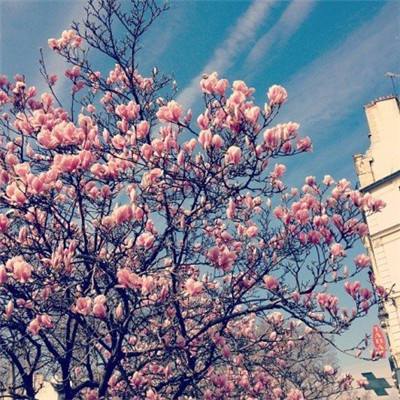 魂器学院国际服下载